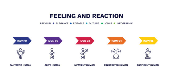 set of feeling and reaction thin line icons. feeling and reaction outline icons with infographic template. linear icons such as fantastic human, alive human, impatient human, frustrated confident