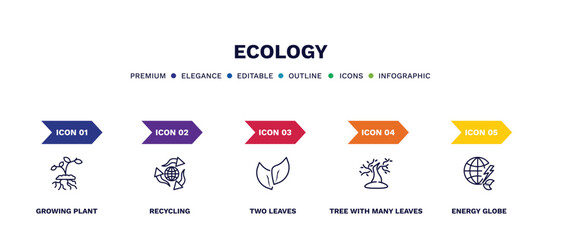 set of ecology thin line icons. ecology outline icons with infographic template. linear icons such as growing plant, recycling, two leaves, tree with many leaves, energy globe vector.