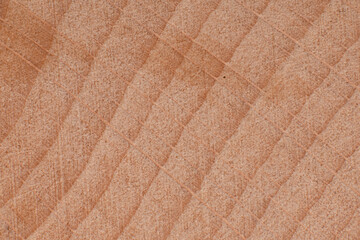 Fototapeta premium Texture of old wood close-up. Can be used as a background.