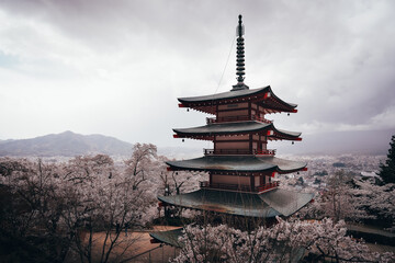 Obraz premium A pagoda towers over a traditional Japanese temple, surrounded by blossoming cherry trees and majestic mountains. The vibrant reds of the plants reflect centuries of faith, culture and history