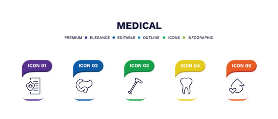 set of medical thin line icons. medical outline icons with infographic template. linear icons such as medical insurance, pancreas, walking stick, teeth, blood pressure vector.
