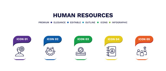 set of human resources thin line icons. human resources outline icons with infographic template. linear icons such as emotional intelligence, teamwork, approved, contact, selection vector.
