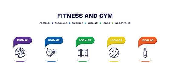set of fitness and gym thin line icons. fitness and gym outline icons with infographic template. linear icons such as weight drive, carrot and, locker, pilates ball, boxing bag vector.