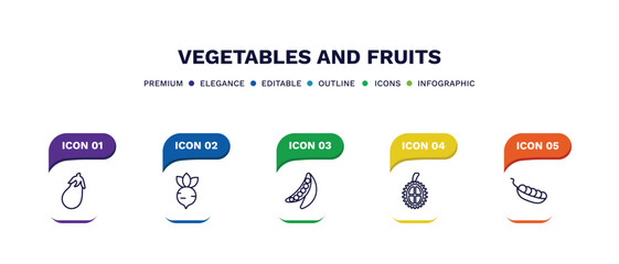 set of vegetables and fruits thin line icons. vegetables and fruits outline icons with infographic template. linear icons such as aubergine, radish, peas, durian, pea vector.