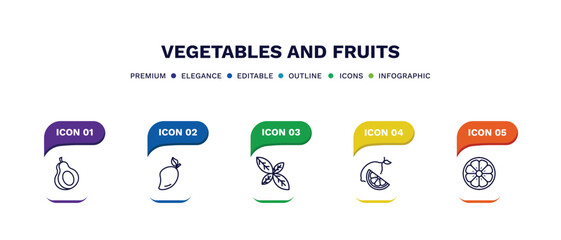 set of vegetables and fruits thin line icons. vegetables and fruits outline icons with infographic template. linear icons such as avocado, mango, basil, lemon, orange vector.