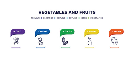 set of vegetables and fruits thin line icons. vegetables and fruits outline icons with infographic template. linear icons such as dill, olive, peanut, pear, potato vector.