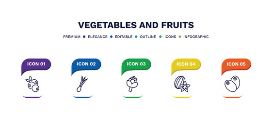 set of vegetables and fruits thin line icons. vegetables and fruits outline icons with infographic template. linear icons such as blueberry, spring onion, artichoke, carambola, breast milk fruit