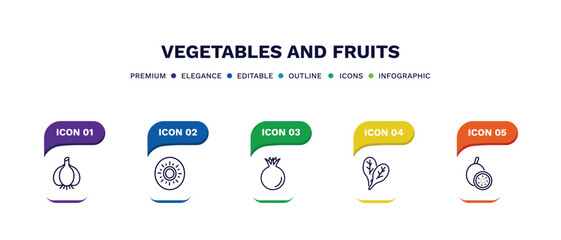 set of vegetables and fruits thin line icons. vegetables and fruits outline icons with infographic template. linear icons such as garlic, kiwi, pomegranate, spinach, passion fruit vector.