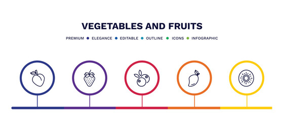 set of vegetables and fruits thin line icons. vegetables and fruits outline icons with infographic template. linear icons such as peach, strawberry, blueberries, mango, kiwi vector.