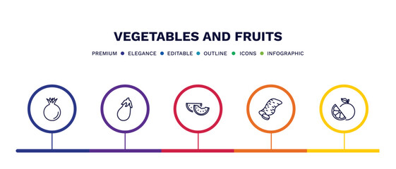 set of vegetables and fruits thin line icons. vegetables and fruits outline icons with infographic template. linear icons such as pomegranate, aubergine, watermelon, sweet potato, grapefruit vector.