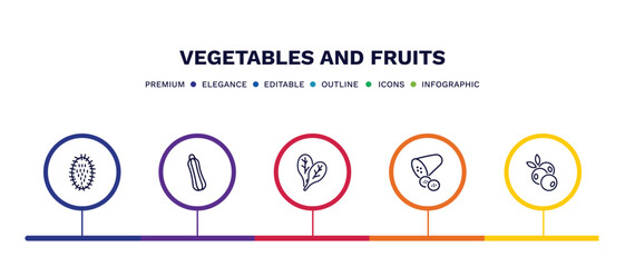 set of vegetables and fruits thin line icons. vegetables and fruits outline icons with infographic template. linear icons such as rambutan, courgette, spinach, cucumber, blueberry vector.