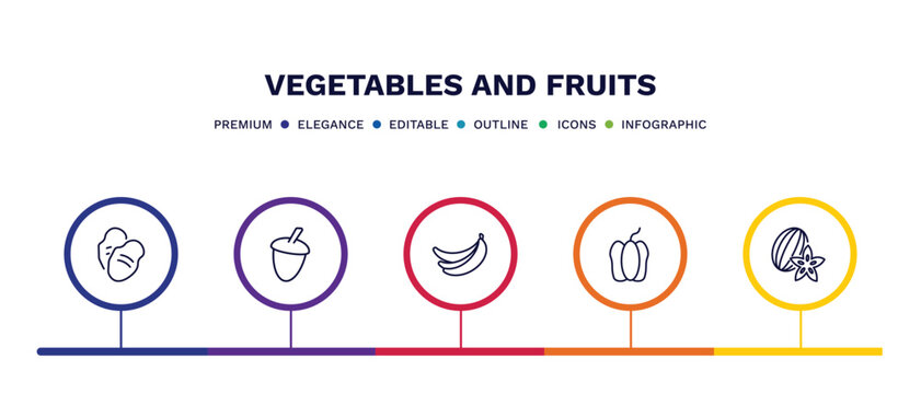 set of vegetables and fruits thin line icons. vegetables and fruits outline icons with infographic template. linear icons such as tuber, acorn, banana, bell pepper, carambola vector.