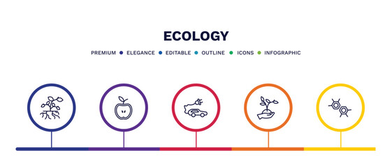 set of ecology thin line icons. ecology outline icons with infographic template. linear icons such as plant and root, half, eco energy car, plant on a hand, eco cell vector.