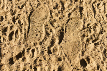 Two-way footprint on dusty road 