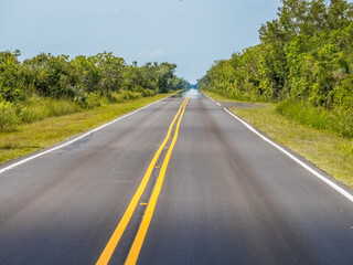 Main Park Road in Everglades national Park in south Florida USA