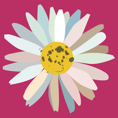 Summer Daisy on Pink Background, Vector Daisy, Pink Floral Backdrop