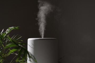 Air purifier and humidifier releases strong stream of cold steam close green houseplant. Care and hydration of houseplants in dry air. Healthy lifestyle concept. Fresh air, cleaning and removing dust - obrazy, fototapety, plakaty