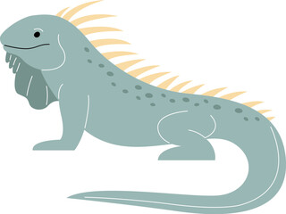 Iguana Reptile Animal