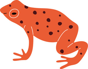 Exotic Frog Amphibian