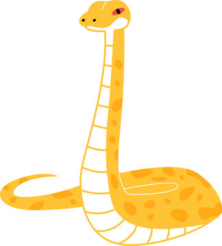 Python Snake Reptile