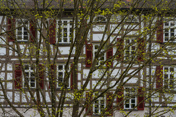 Blühende Bäume in einer historischen Altstadt mit Fachwerkhäusern