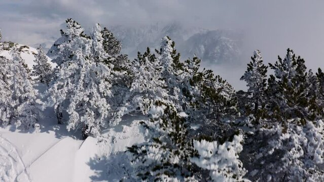 Chamrousse - Winter Landscape 09 - 4K - Color Graded