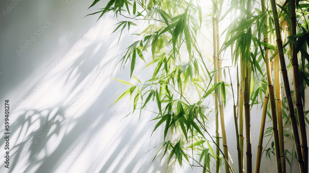 Poster tranquil bamboo background with shadows on a plain wall. generative ai