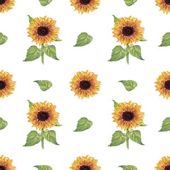 Watercolor sunflower seamless pattern. Hand drawing  illustration on white background.