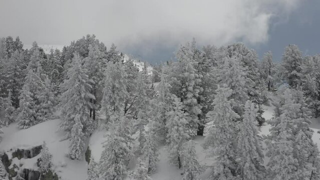 Chamrousse - Winter Landscape 03 - 4K - DLOG