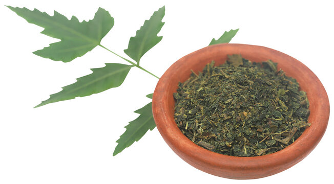Medicinal neem leaves with crushed ones