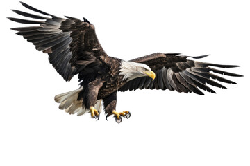 Obraz premium an isolated bald eagle (Haliaeetus leucocephalus) , flying in motion and in landing position, wildlife, Wildlife-themed, photorealistic illustration on a transparent background PNG. generative ai