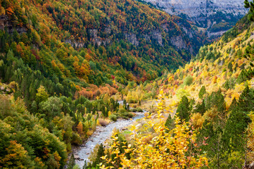 Ordesa canyon forest in autumn with river. Ordesa and Monte Perdido National Park, Aragon, Spain.