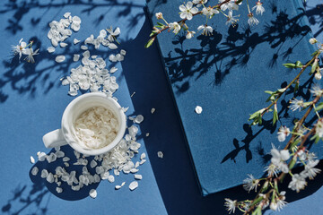 White petals of cherry blossom branches around a blue cloth book and in a small white coffee cup, with beautiful shadows from the bright sun on a blue background. Love for reading, interior details