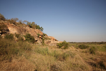 Afrikanischer Busch - Krügerpark - Crocodile River / African Bush - Kruger Park - Crocodile River /