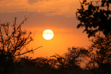 Sonnenaufgang - Kr&uuml;ger Park - S&uuml;dafrika / Sunrise - Kruger Park - South Africa /