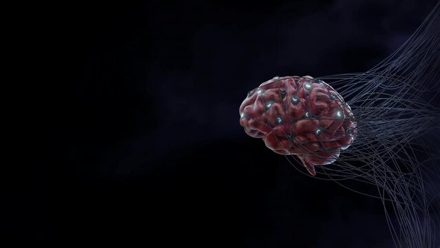 Brain Wire Connected to Machine Interface Loop Processing Uploading Information Consciousness