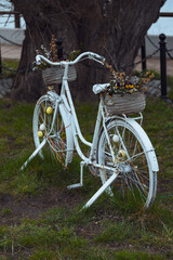 Fototapeta na wymiar old white bicycle in the garden