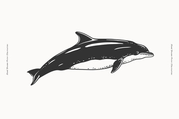 Hand-drawn image of a dolphin. Ocean animal on a light background. Vector illustration in vintage engraving style for your design.