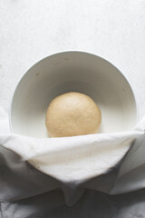 Bread dough resting in a bowl, process for making bread