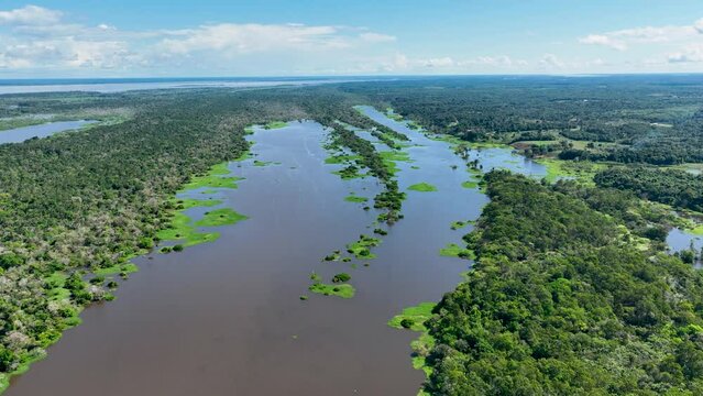 Amazon Rainforest At Manaus Amazonas Brazil. Forest Landscape Scenics Nature. Forest Aerial View Amazon Green. Forest Outdoors Amazon Background Vegetation. Forest Green Summer Rainforest.