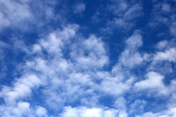 Fototapeta premium Blue sky with white clouds