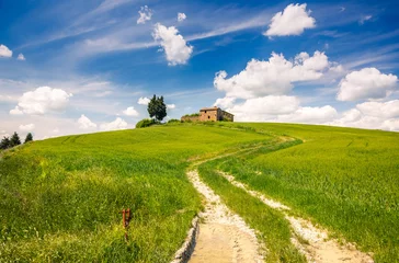 Foto op Plexiglas Tuscany landscape at spring sunny day, Italy © sborisov