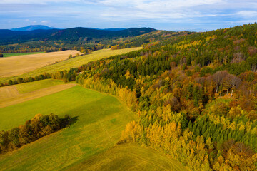 Fototapeta na wymiar View from drone of undulating forest landscape in sunny autumn day..