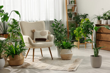Fototapeta na wymiar Relaxing atmosphere. Many different potted houseplants around stylish armchair in room