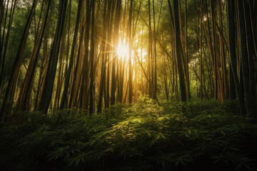 Obraz premium Bamboo Forest During the Golden Hour right before sundown, generative ai