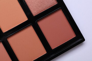 Colorful contouring palette on white background, closeup. Professional cosmetic product
