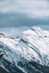 snow covered mountains