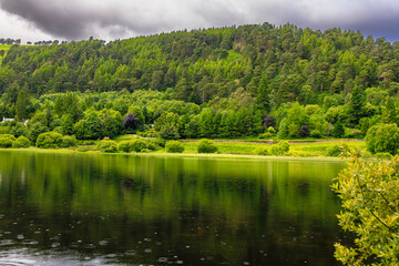 Fototapeta premium lake in the forest
