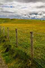 Fototapeta premium fence in the field