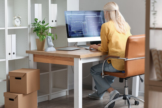 Mature female programmer working with computer at table in office